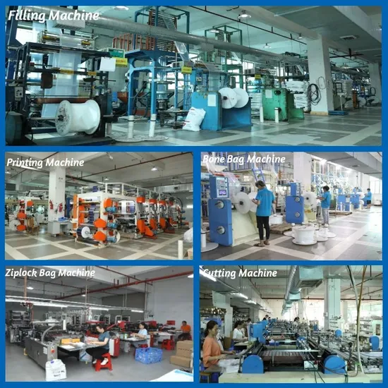 Custom Medicine Plastic Drugs Ziplock Bag Capsule Sachets Pouch for Pills Tablets 